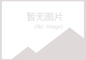 鹤岗东山牵手工程有限公司